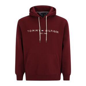 Tommy Hilfiger Big & Tall Mikina  tmavě modrá / karmínově červené / světle červená / bílá