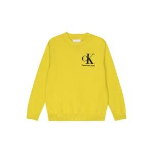 Calvin Klein Jeans Svetr  žlutá / černá