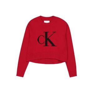 Calvin Klein Jeans Svetr  červená / černá