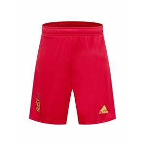 ADIDAS SPORTSWEAR Sportovní kalhoty 'AJAX'  mix barev / červená