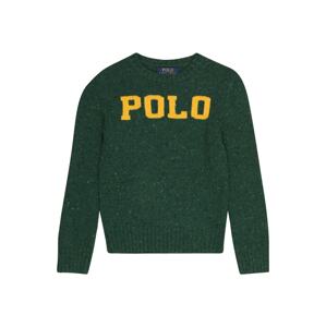 Polo Ralph Lauren Svetr  tmavě žlutá / tmavě zelená