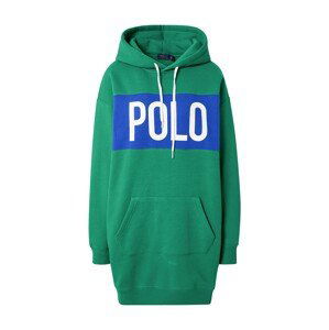 Polo Ralph Lauren Šaty  modrá / zelená / bílá