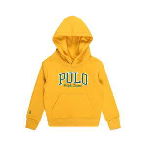 Polo Ralph Lauren Mikina  žlutá / zelená / bílá