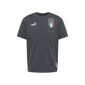 PUMA Trikot 'Italien ftblCulture'  béžová / tmavě šedá / zelená / bílá