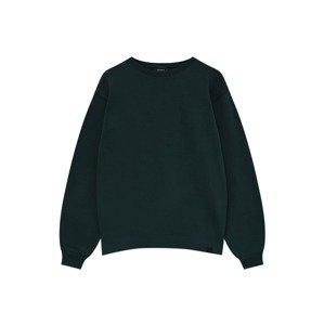 Pull&Bear Mikina  jedle / černá