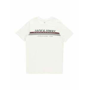 Jack & Jones Junior Tričko 'Ron'  hnědá / šedá / černá / bílá