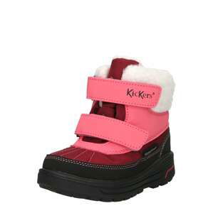 Kickers Kozačky 'Beddy'  pink / bordó / černá / bílá