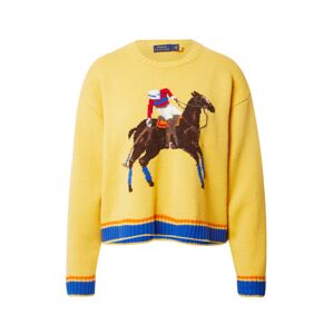 Polo Ralph Lauren Svetr  modrá / hnědá / žlutá / červená