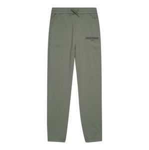 Abercrombie & Fitch Kalhoty  khaki