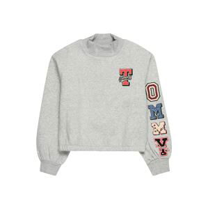 TOMMY HILFIGER Mikina  šedá / mix barev