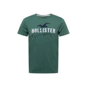HOLLISTER Tričko  zelená / bílá / námořnická modř