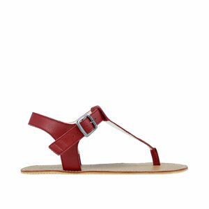 ANGLES ARES Burgundy