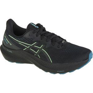 ČERNÉ BĚŽECKÉ TENISKY ASICS GT-2000 12 GTX 1011B687-001 Velikost: 43.5