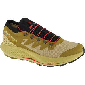 KHAKI BĚŽECKÉ TENISKY SALOMON PULSAR TRAIL-PRO 415936 Velikost: 48