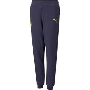 DĚTSKÉ TEPLÁKY PUMA NEYMAR JR HERO SWEATPANTS 605547-06 Velikost: 152