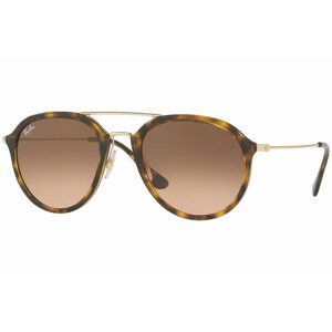 Ray-Ban RB4253 710/A5 - Velikost L