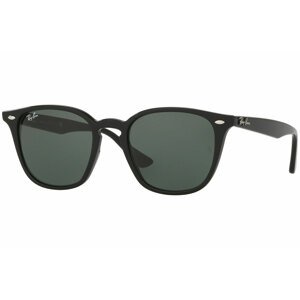 Ray-Ban RB4258 601/71 - Velikost ONE SIZE