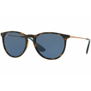 Ray-Ban Erika Color Mix RB4171 639080 - Velikost ONE SIZE