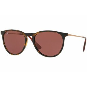 Ray-Ban Erika Color Mix RB4171 639175 - Velikost ONE SIZE