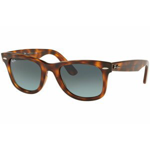 Ray-Ban Wayfarer Ease RB4340 63973M - Velikost ONE SIZE