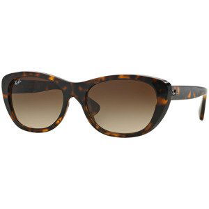 Ray-Ban RB4227 710/13 - Velikost ONE SIZE