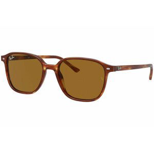 Ray-Ban Leonard RB2193 954/33 - Velikost L