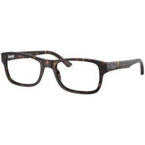 Ray-Ban RX5268 2012 - L (52)