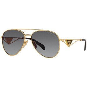 Prada PR73ZS 5AK5W1 Polarized - M (58)