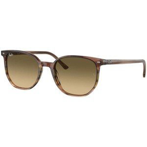 Ray-Ban Elliot RB2197 13920A - M (52)