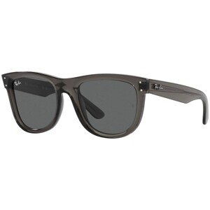 Ray-Ban Wayfarer Reverse RBR0502S 6707GR - L (53)