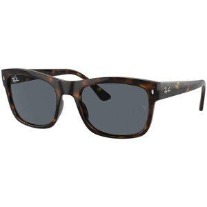 Ray-Ban RB4428 710/R5 - ONE SIZE (56)