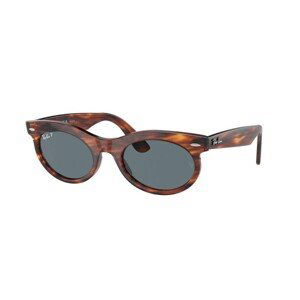 Ray-Ban RB2242 954/3R Polarized - M (50)