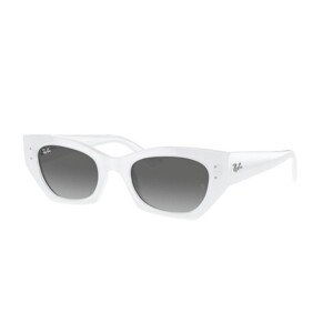 Ray-Ban RB4430 675911 - L (52)