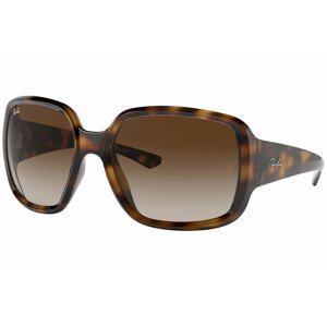Ray-Ban Powderhorn RB4347 710/13 - Velikost ONE SIZE