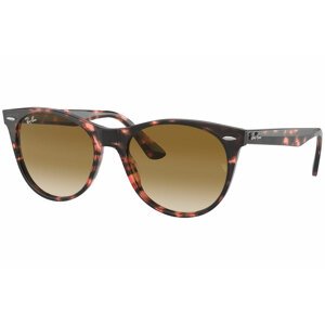 Ray-Ban Wayfarer II RB2185 133451 - Velikost M