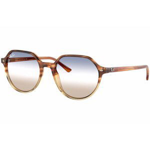 Ray-Ban Thalia RB2195 1328GD - Velikost S