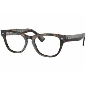 Ray-Ban Laramie RX2201V 2012 - Velikost L