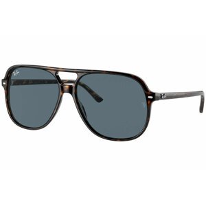 Ray-Ban Bill RB2198 902/R5 - Velikost L