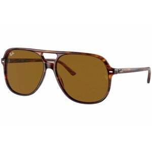 Ray-Ban Bill RB2198 954/33 - Velikost L
