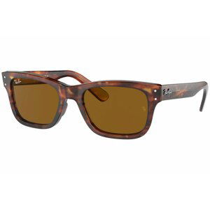 Ray-Ban Mr Burbank RB2283 954/33 - Velikost M