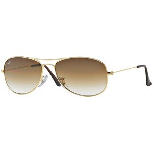 Ray-Ban Cockpit RB3362 001/51 - Velikost M