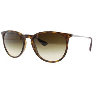 Ray-Ban Erika Classic Havana Collection RB4171 865/13 - Velikost ONE SIZE
