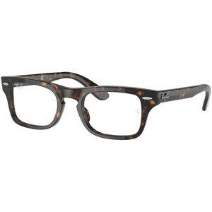 Ray-Ban Junior Burbank Jr RY9083V 3887 - M (41)