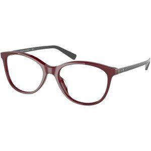 Ralph Lauren RL6219U 6024 - M (52)