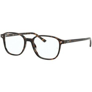 Ray-Ban Leonard RX5393 2012 - L (49)