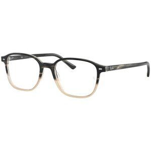 Ray-Ban Leonard RX5393 8106 - L (49)