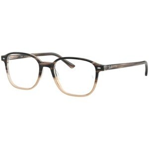 Ray-Ban Leonard RX5393 8107 - L (49)