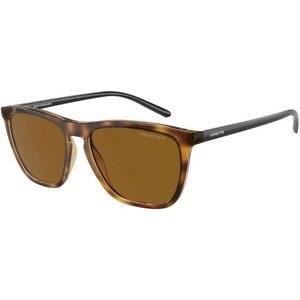 Arnette Fry AN4301 277083 Polarized - ONE SIZE (55)