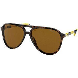 Polo Ralph Lauren PH4173 500383 Polarized - ONE SIZE (59)