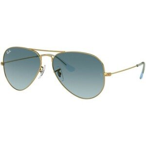 Ray-Ban Aviator RB3025 001/3M - M (58)